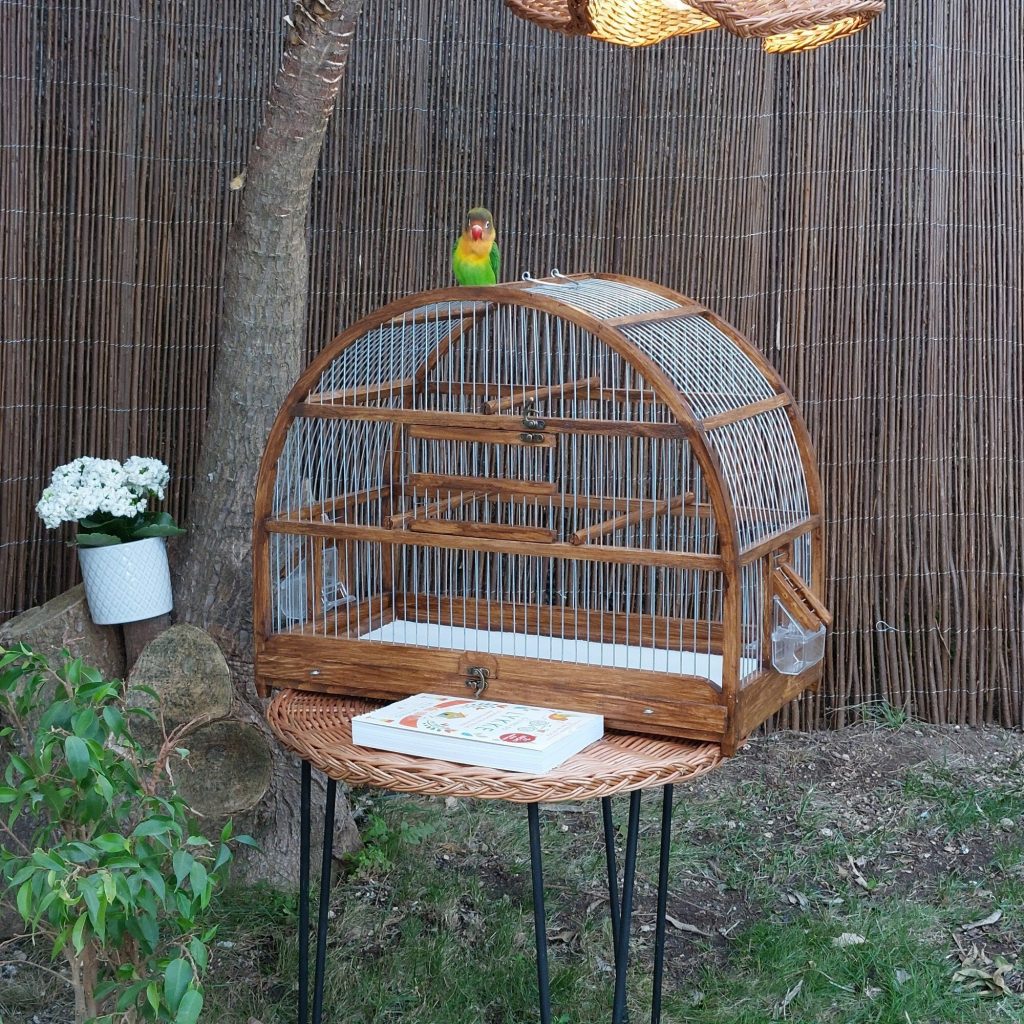 Large Oval Bird Cage Brown PadaWorks