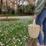 Jane Birkin Basket