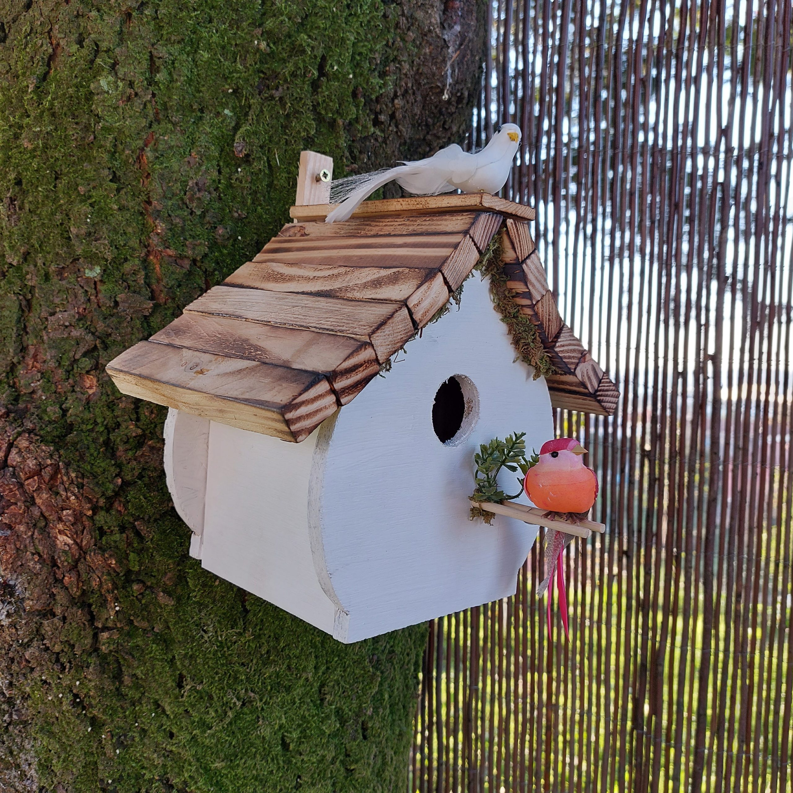 4x Handy Home and Garden Bird House, Bird Box, Bird Houses for Garden  100% FSC Wood, Environmentally Friendly Through Use of Sustainable Forests