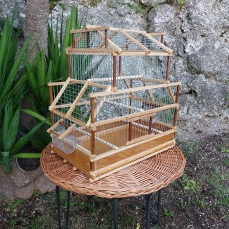 20230525_194628-scaled