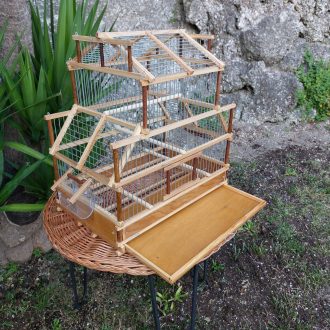 20230525_194642-scaled