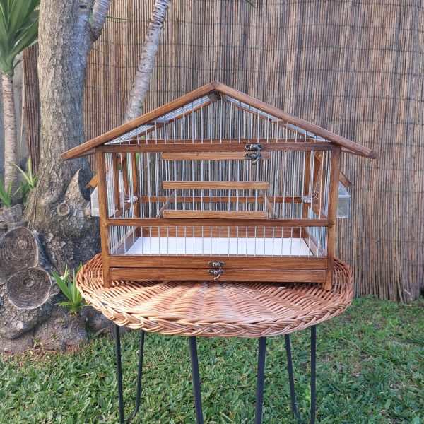 20250118_122840-scaled