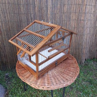 20250118_122924-scaled-e1740674291160