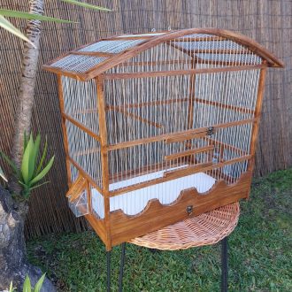 20250118_124439-scaled