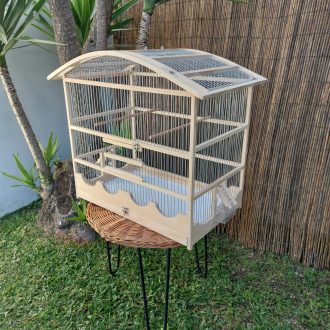 20250118_124735-scaled-e1740678768655