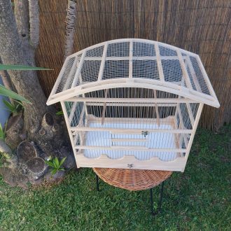 20250118_124743-scaled-e1740678727150