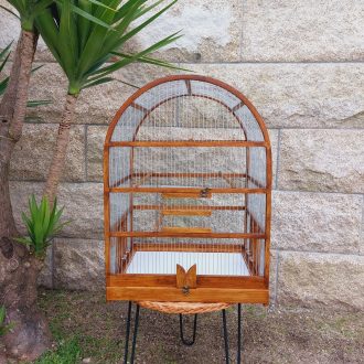 20250318_115802-scaled