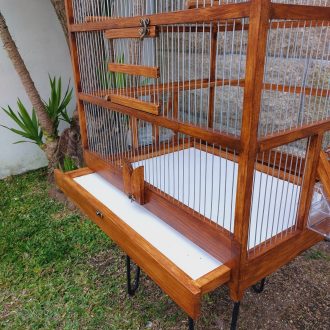 20250318_115930-scaled-e1744988679535