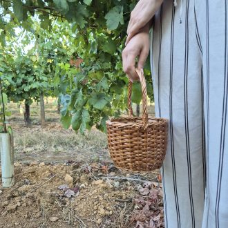 20250730_080646-scaled-e1758038953190