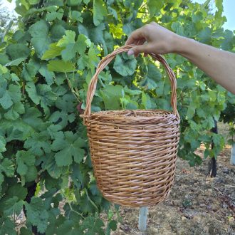 20250730_081056-scaled