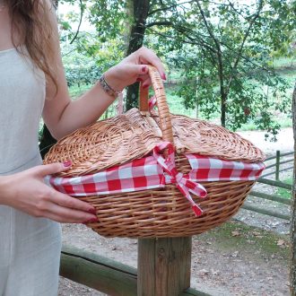 wicker picnic basket with red checkered lining
