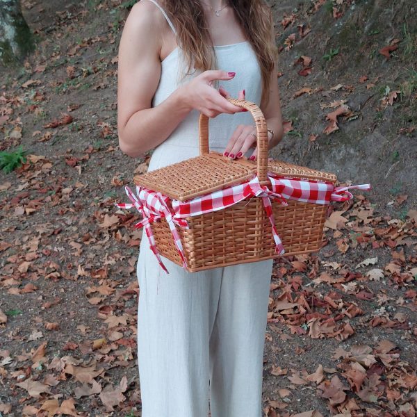 cesto de piquenique com tampa