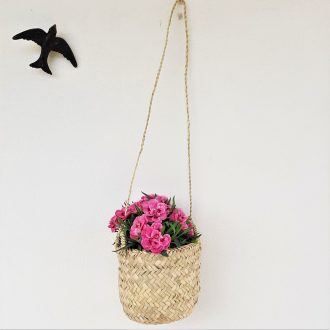 il_fullxfull.3082386542_57o1-scaled