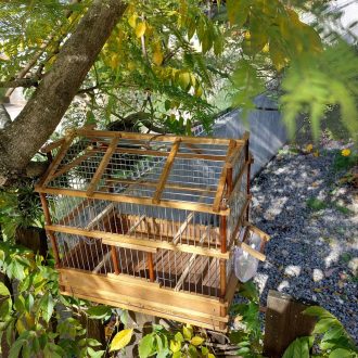 il_fullxfull.3506589716_5tky