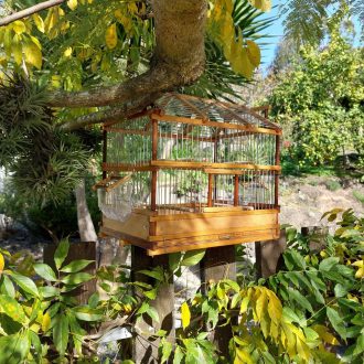 il_fullxfull.3506594058_e5hn