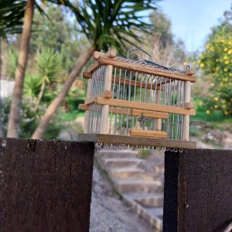 il_fullxfull.3580212260_99st