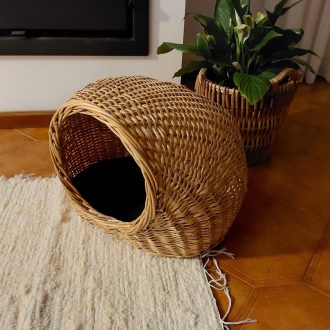 il_fullxfull.3641624241_mqig-scaled