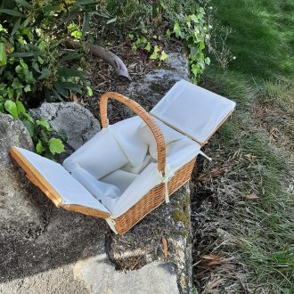 il_fullxfull.3777567988_ibaz-scaled