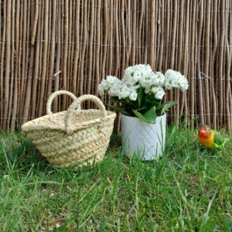 il_fullxfull.3924631328_hjyf