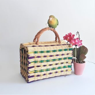 il_fullxfull.4017347114_a1i1