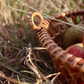 il_fullxfull.4146546110_1bje-scaled