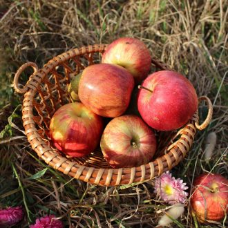 il_fullxfull.4146546294_hald-scaled