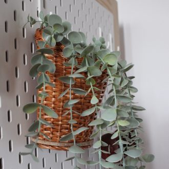 il_fullxfull.4147254456_tawq-scaled