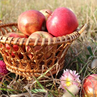 il_fullxfull.4194206235_e8jw-scaled