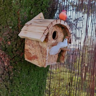 il_fullxfull.4404517213_5bpr-scaled