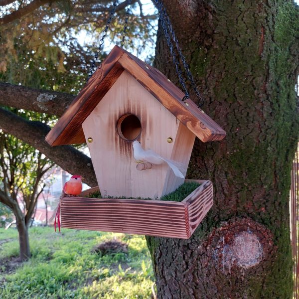 il_fullxfull.4410218491_j353-scaled