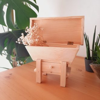 il_fullxfull.4762612938_l8ex-scaled