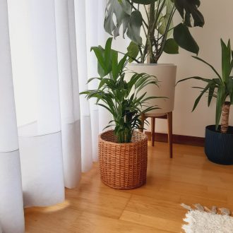 il_fullxfull.4772941448_7tm8-scaled