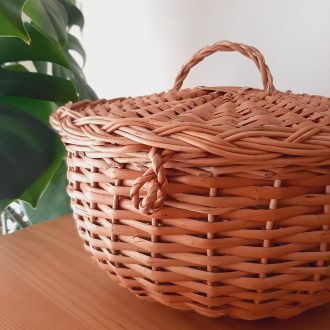 il_fullxfull.4799657355_4gpo-scaled