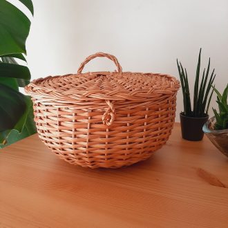 il_fullxfull.4799676461_al5a-scaled