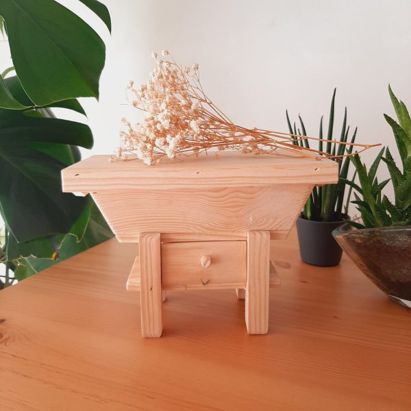 il_fullxfull.4810946649_dttu-scaled