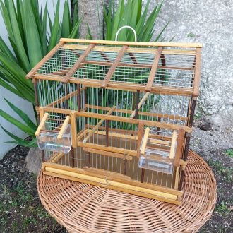 il_fullxfull.4986171772_35m8-scaled