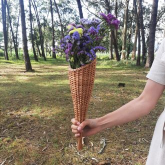 il_fullxfull.5075252985_cytd-scaled