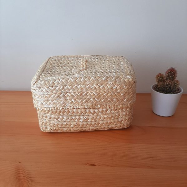 il_fullxfull.5075356845_5v5s-scaled