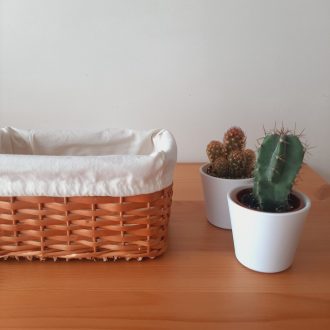 il_fullxfull.5077819065_d5i8-scaled