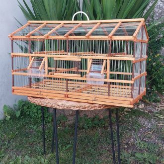 il_fullxfull.5142016600_i6v9-scaled