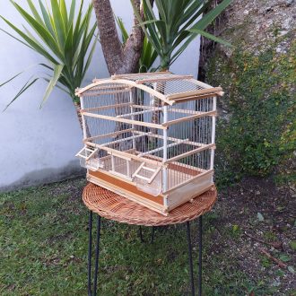 il_fullxfull.5669344049_l53h-scaled