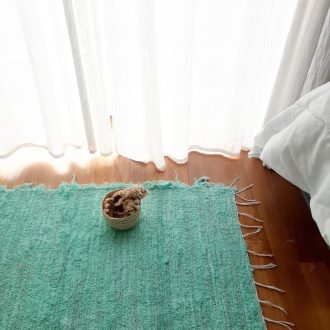 il_fullxfull.5842030296_f13m-scaled