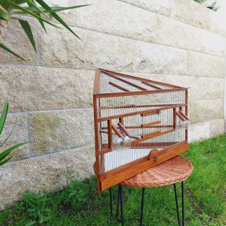 il_fullxfull.7038684962_81bf-scaled