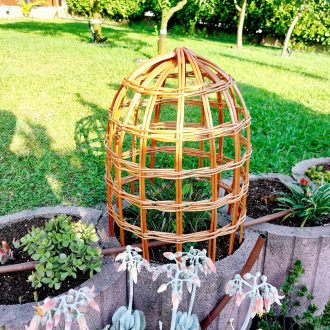 il_fullxfull.7087032655_o9f2-scaled