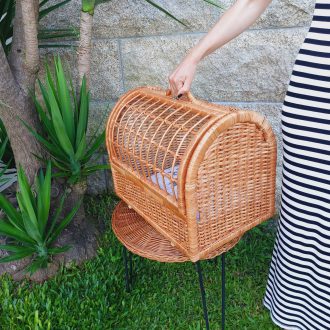 il_fullxfull.7161326814_41wu-scaled